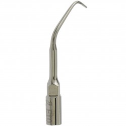 5Pcs Woodpecker E10 Dental Ultrasone scaler Endodontische tips voor EMS UDS handstuk