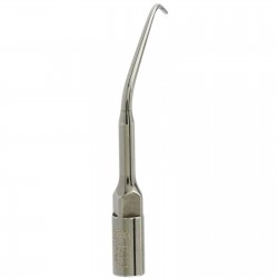 5Pcs Woodpecker E11 Dental Ultrasone scaler Endodontische tips voor EMS UDS handstuk