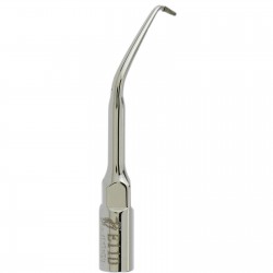 5Pcs Woodpecker E11D Dental Ultrasone scaler Endodontische tips voor EMS UDS handstuk