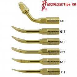 Woodpecker DTE Ultrasone Scaler Tip Kit Endo Parodontologie G1T G2T G4T P1T E1T