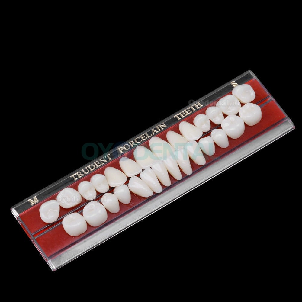 2 Stuks Tandheelkundige Porselein Prothese Materiaal Legering-Pin Tanden Kleuren Schaduw Gids 24 #