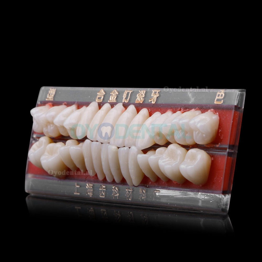 2 Stuks Tandheelkundige Porselein Prothese Materiaal Legering-Pin Tanden Kleuren Schaduw Gids 24 #