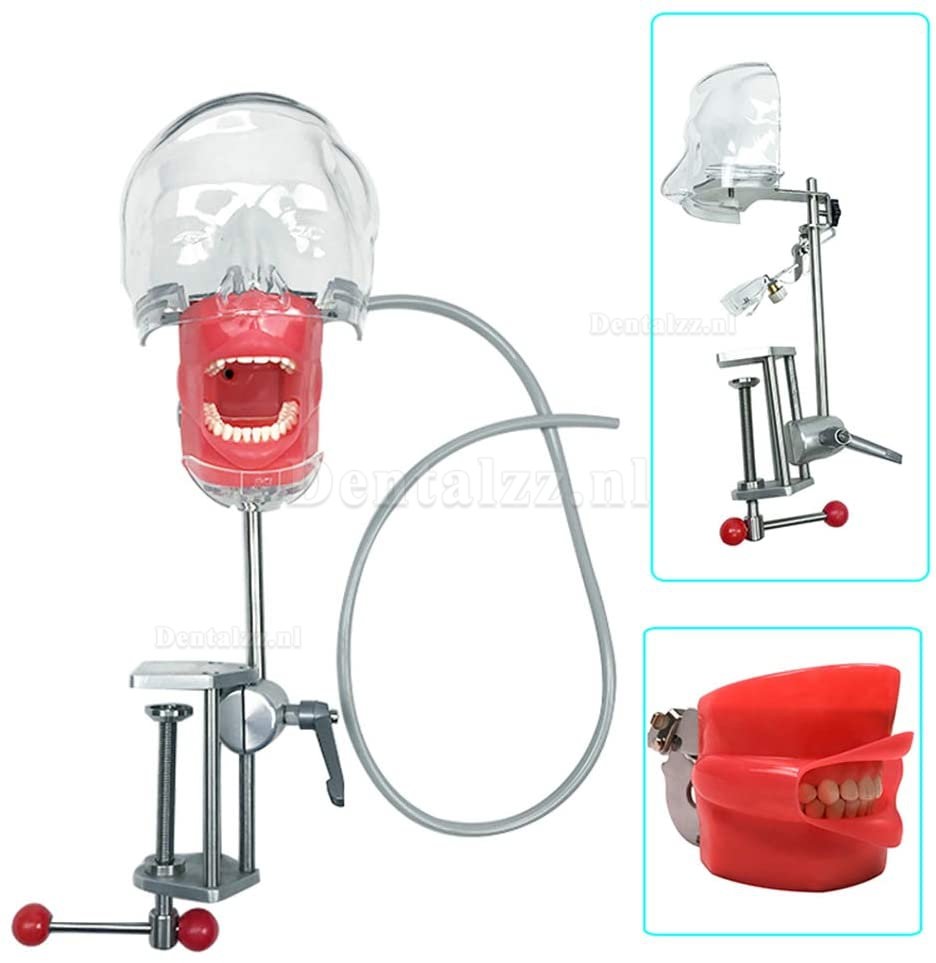Greeloy draagbare tandheelkundige unit GU-P206 + uithardingslamp + handstukset + fantoomkop