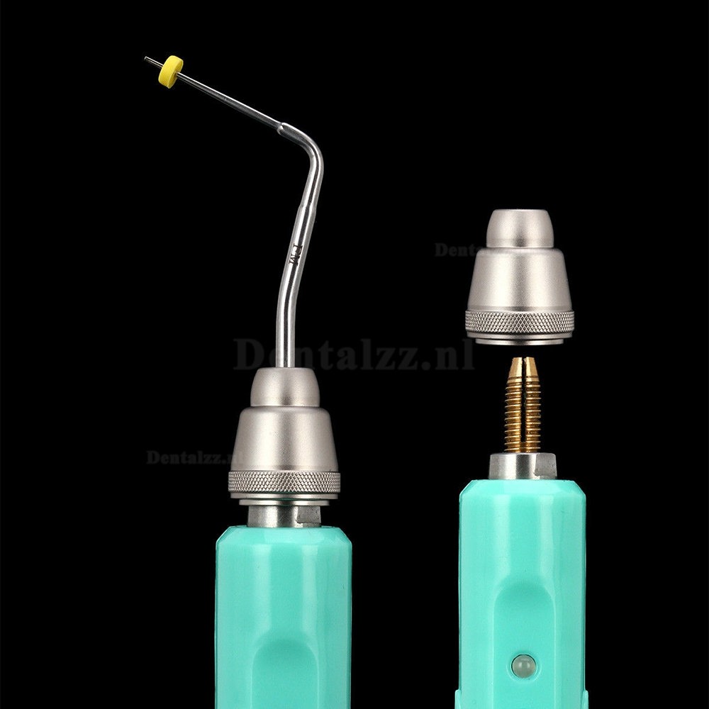 Tandheelkundige draadloze Gutta Percha Endo Obturatie Apparatuur verwarmde pen + 2 tips